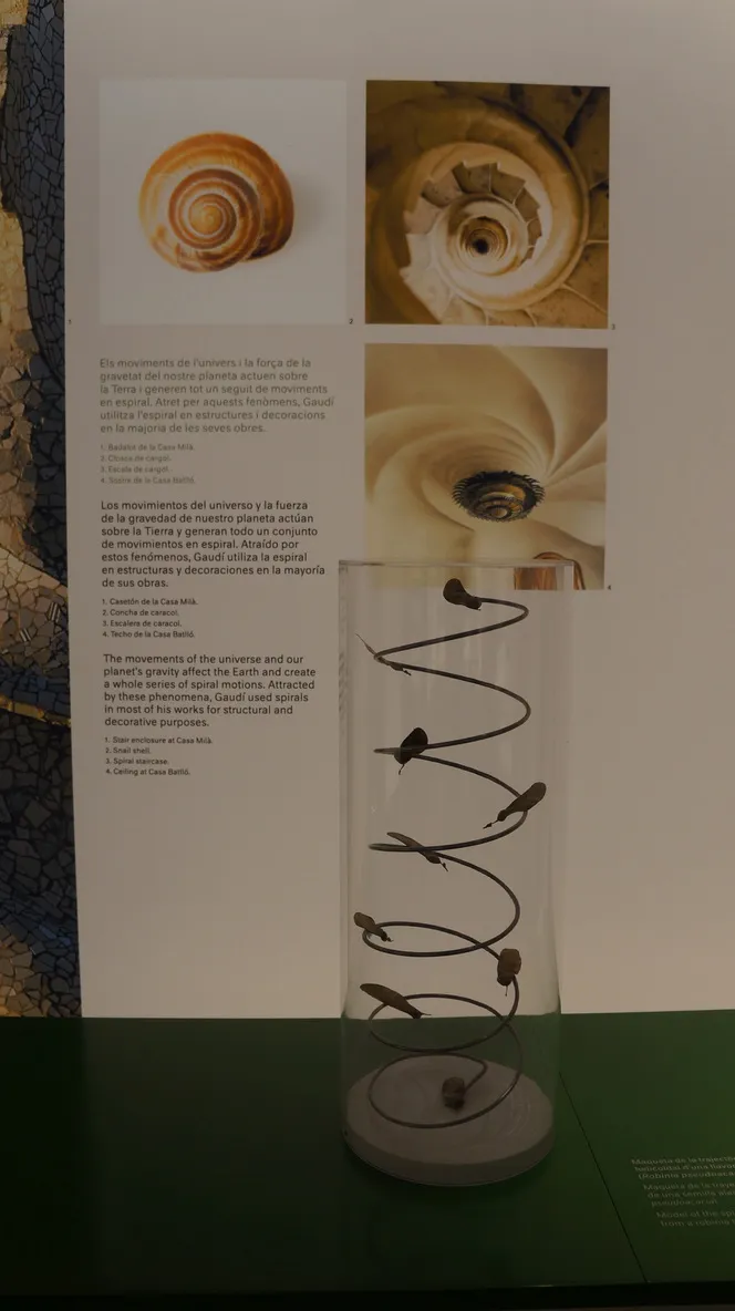 圣家堂一些结构灵感来源