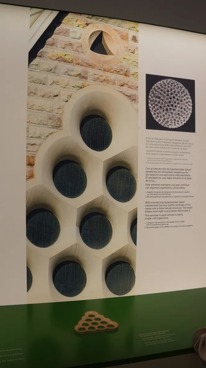 圣家堂一些结构灵感来源