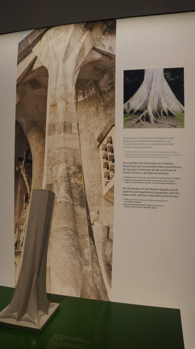 圣家堂一些结构灵感来源